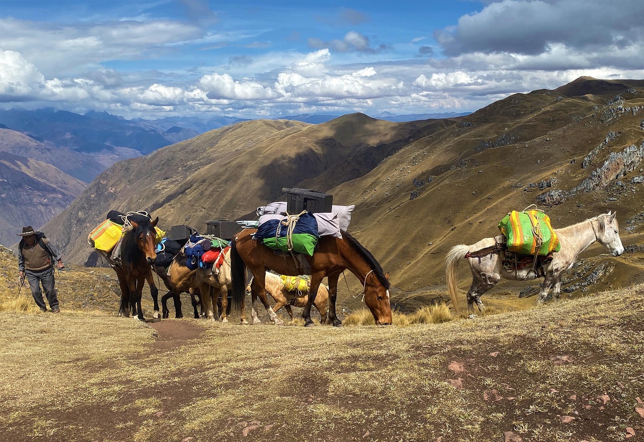 Trekking w kanionie Cotahuasi