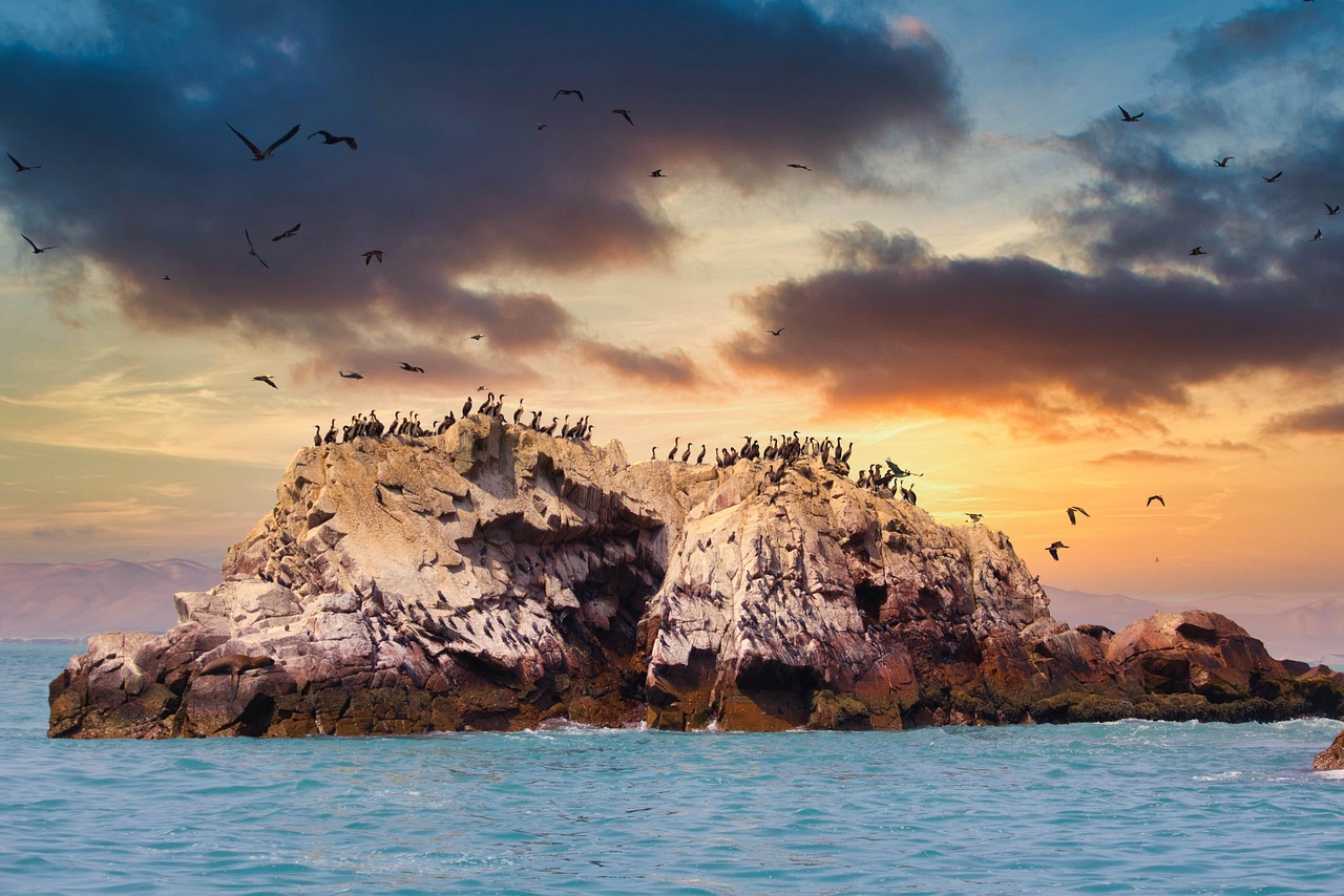 Rejs do Islas Ballestas