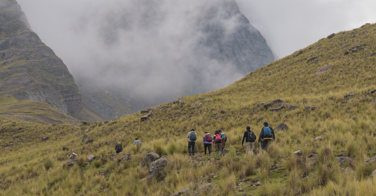 Rejs i trekking w Manu