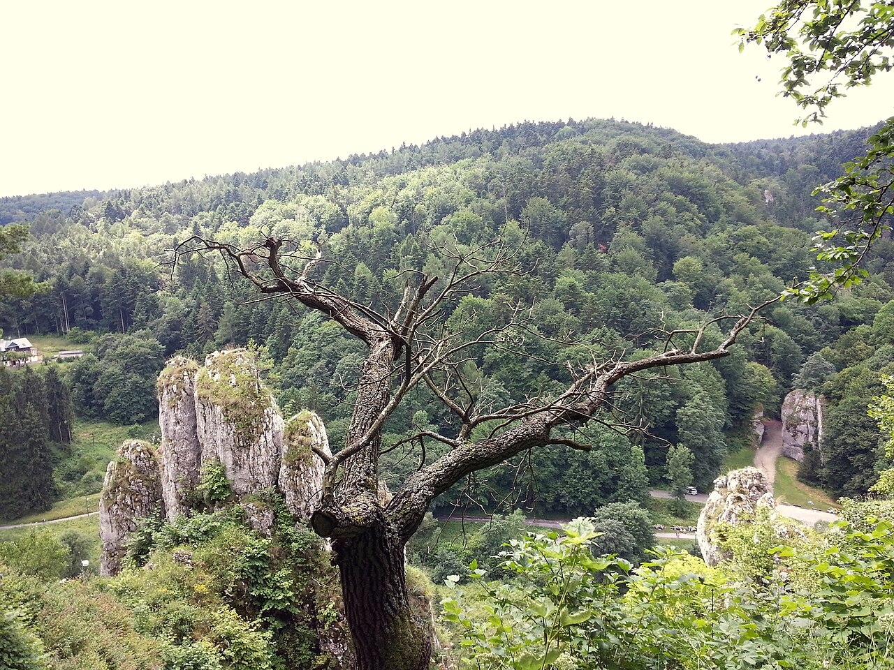 Dolina Prądnika i Brama Krakowska