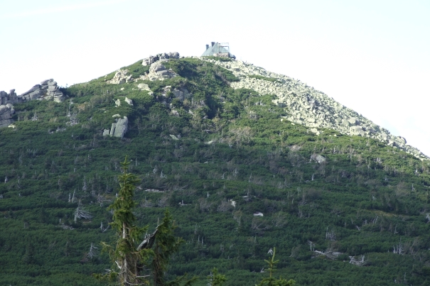Szrenica