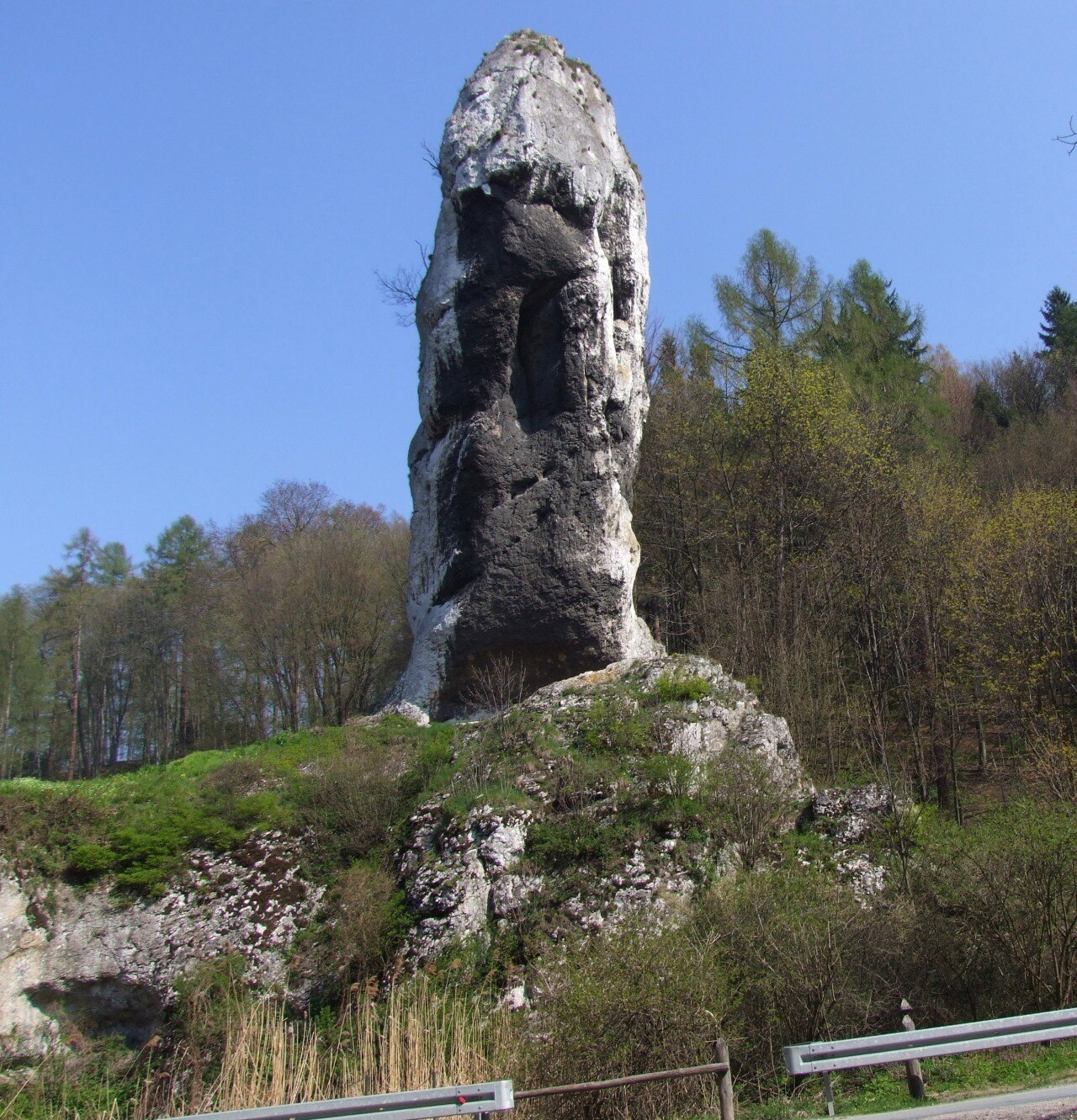 Maczuga Herkulesa