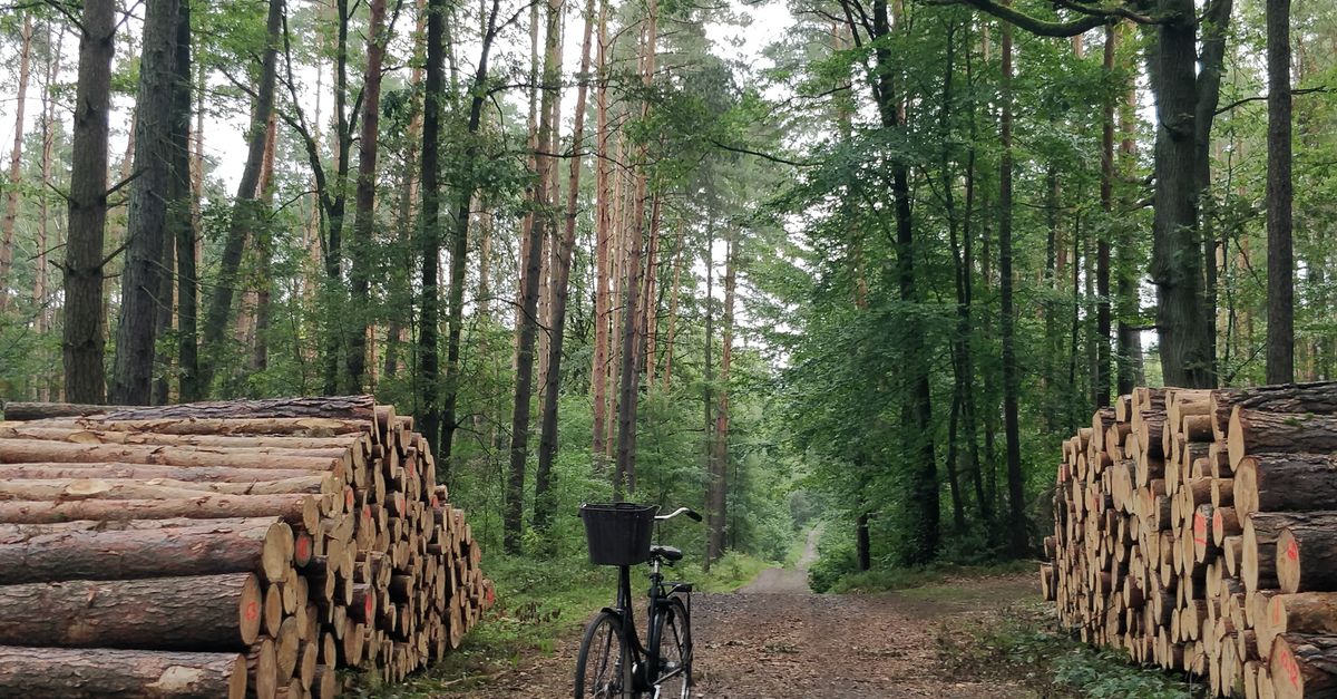 Szlak rowerowy EuroVelo