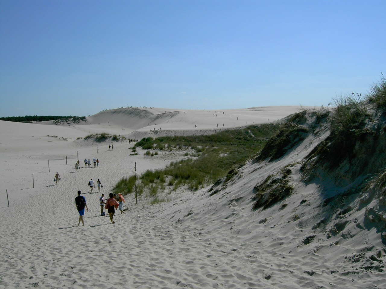 Wydma Łącka
