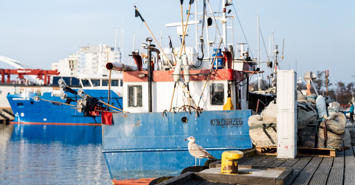Port rybacki