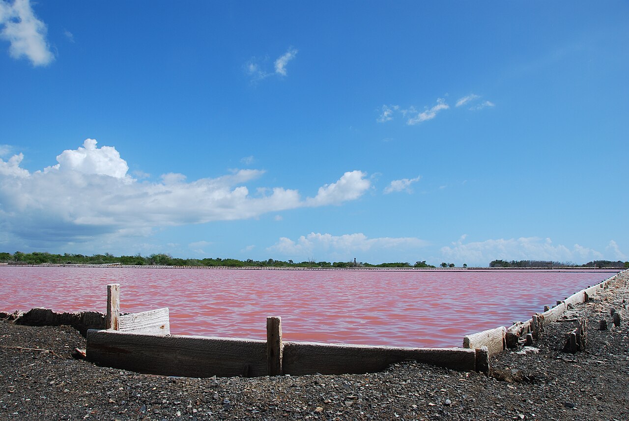 Las Salinas de Cabo Rojo