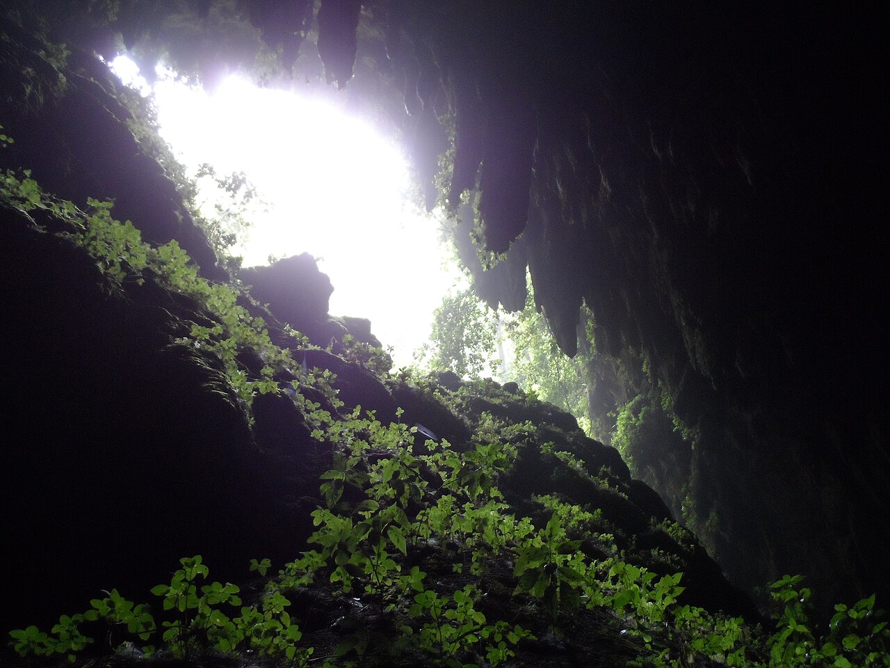 Parque de las Cavernas del Río Camuy