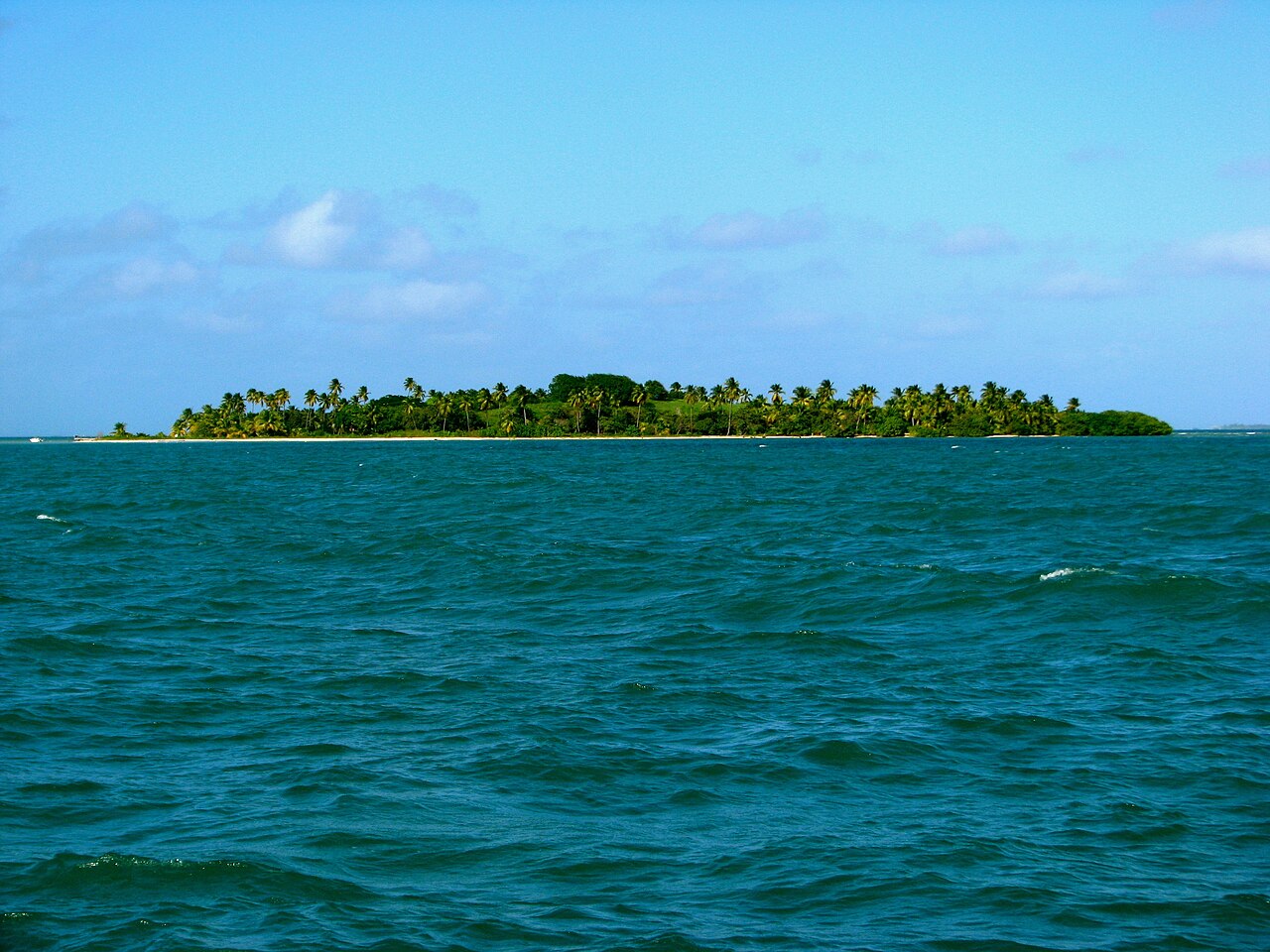 Wyspa Icacos