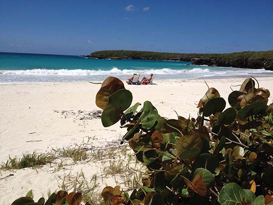 Plaże Refugio Nacional de Vida Silvestre