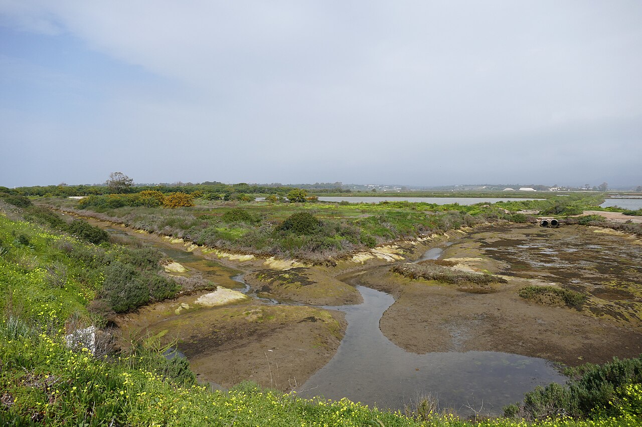 Rejs po Ria Formosa