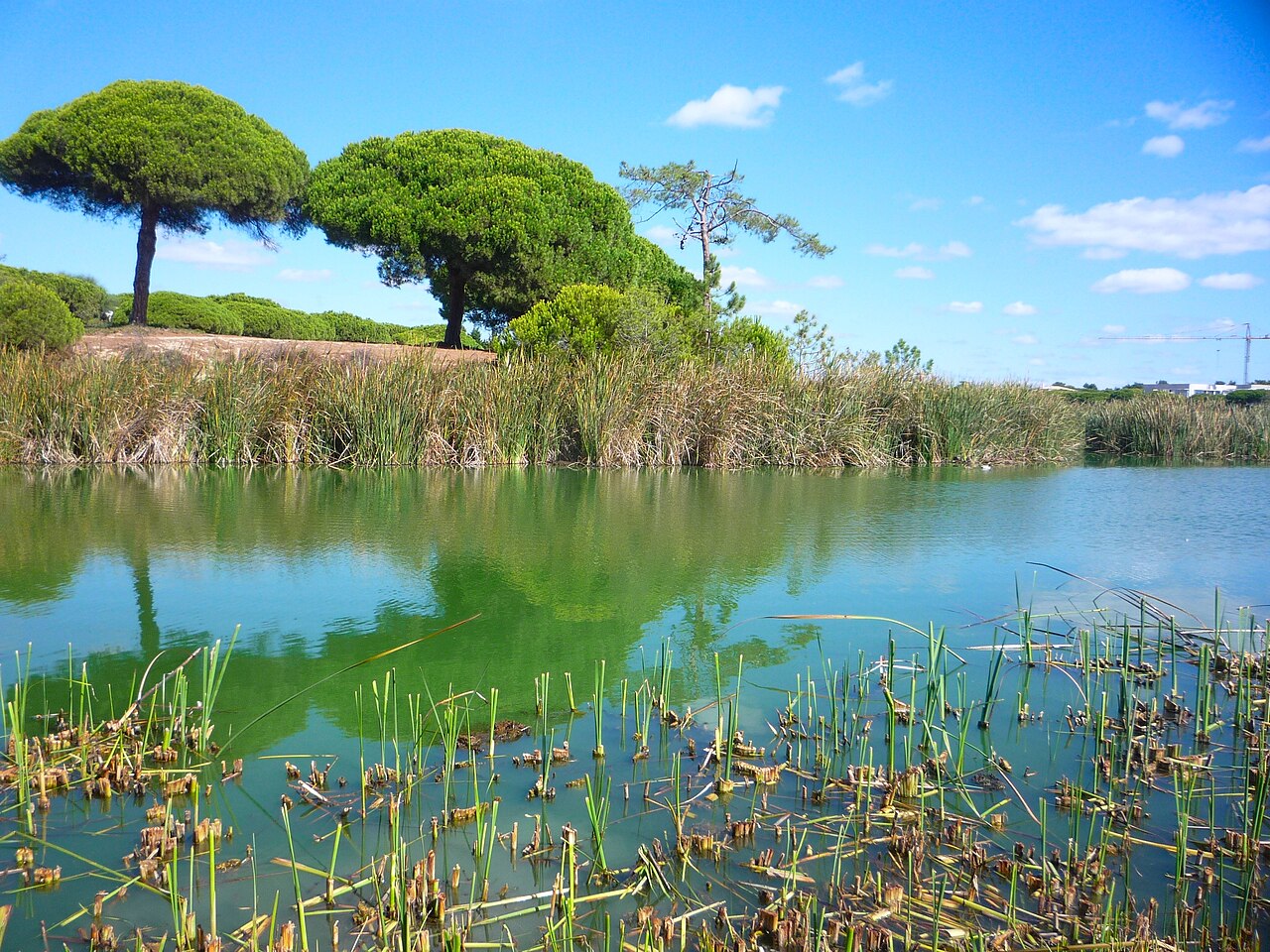 Solniska i laguna Ria Formosa