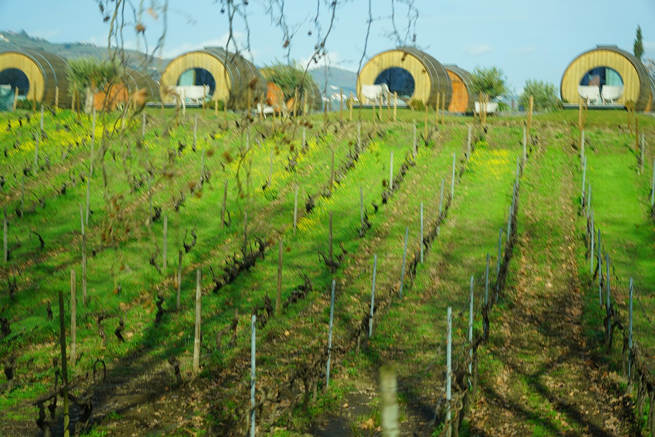 Quinta da Pacheca