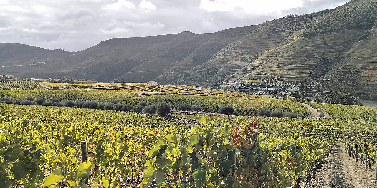 Quinta do Bomfim
