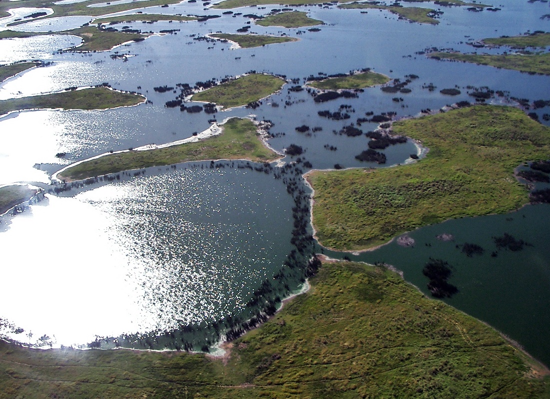 Paragwajski Pantanal