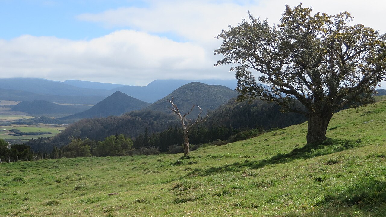 Plaine des Cafres
