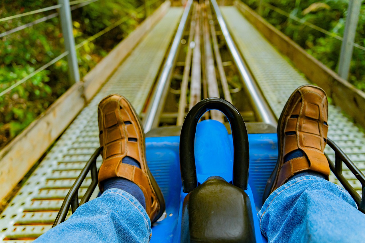 Predeal Mountain Coaster