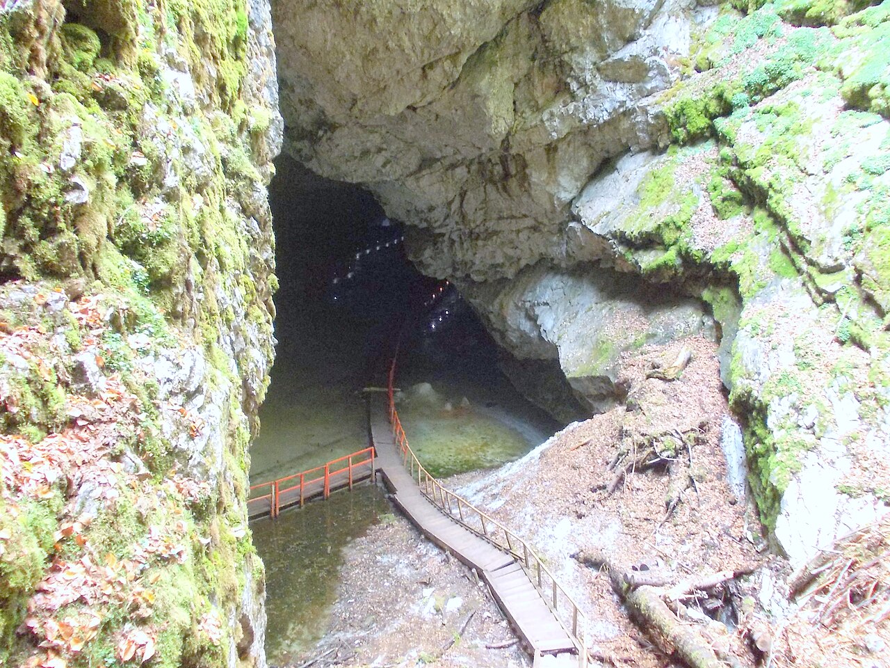 Jaskinia lodowa Scarisoara