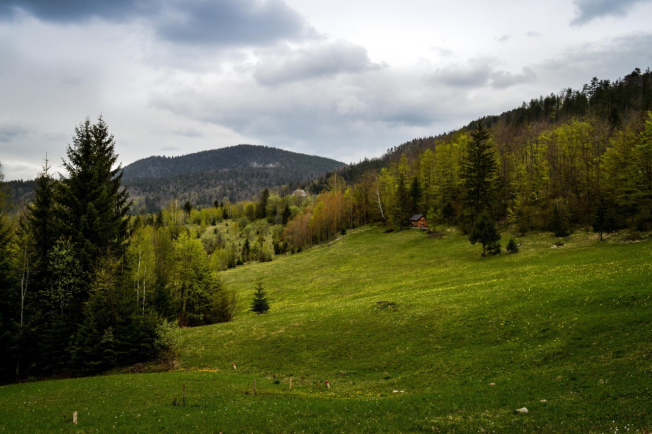 Szlak Rača