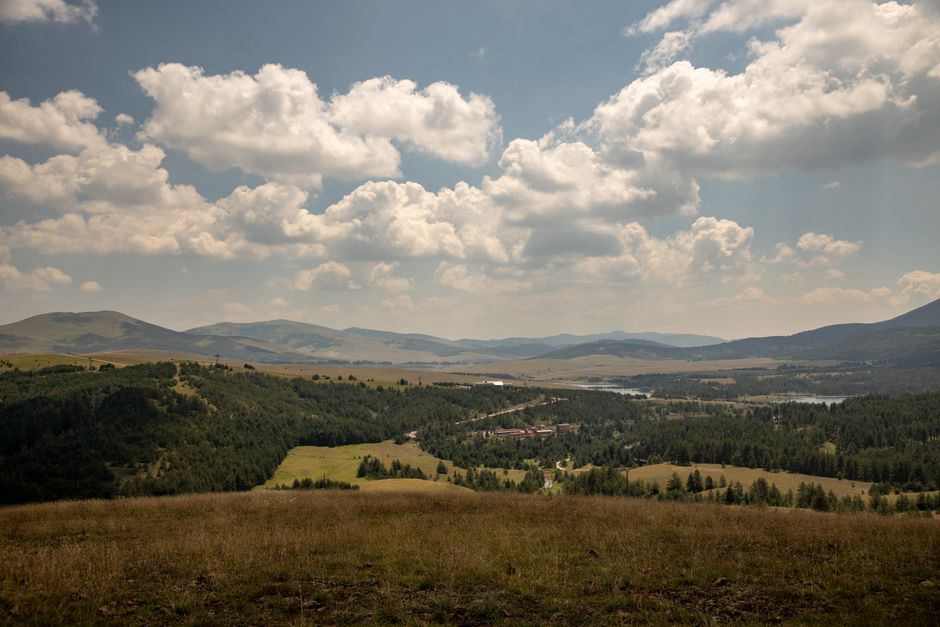 Trekking i łąki