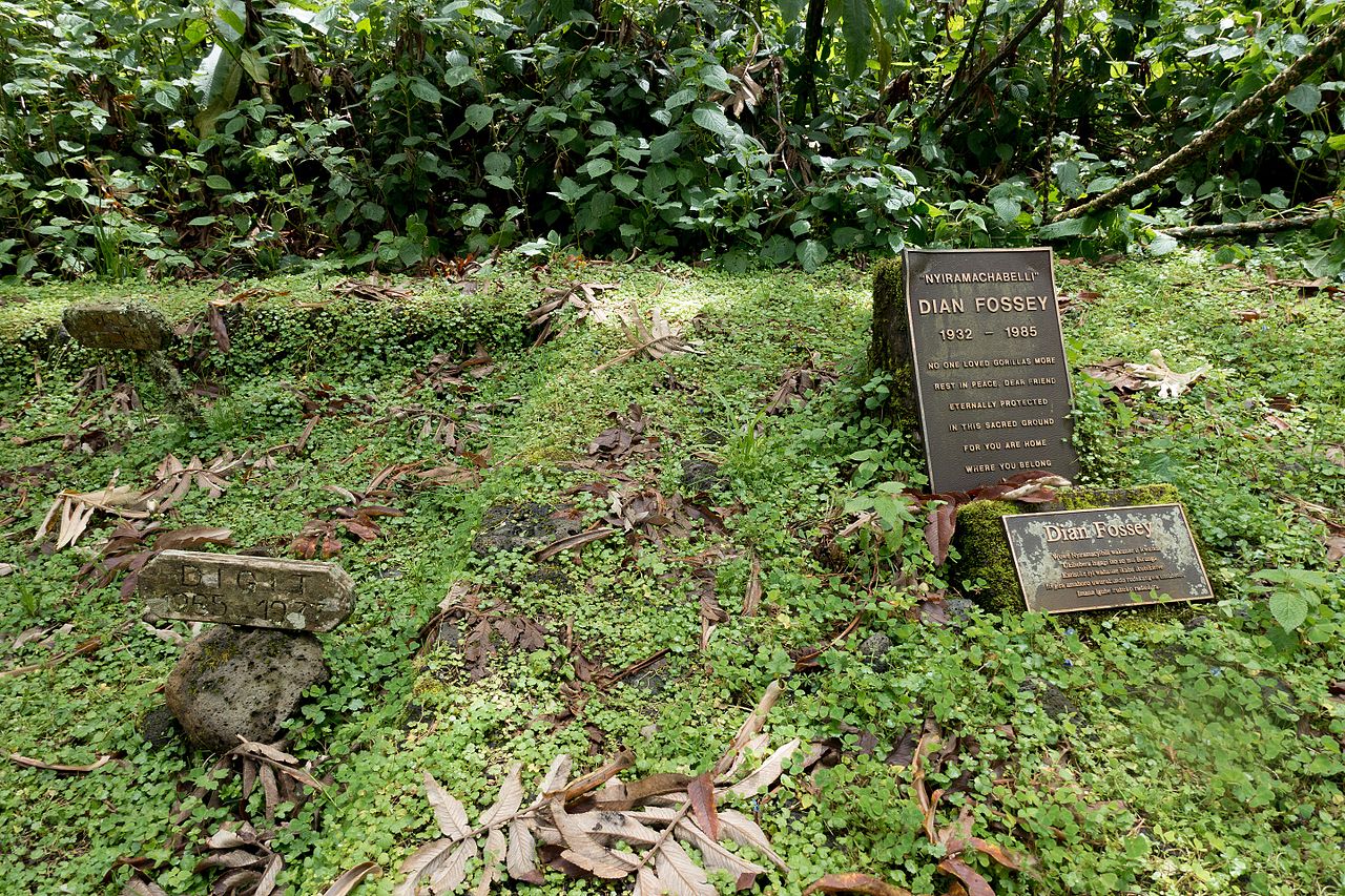 Grób Dian Fossey w Karisoke