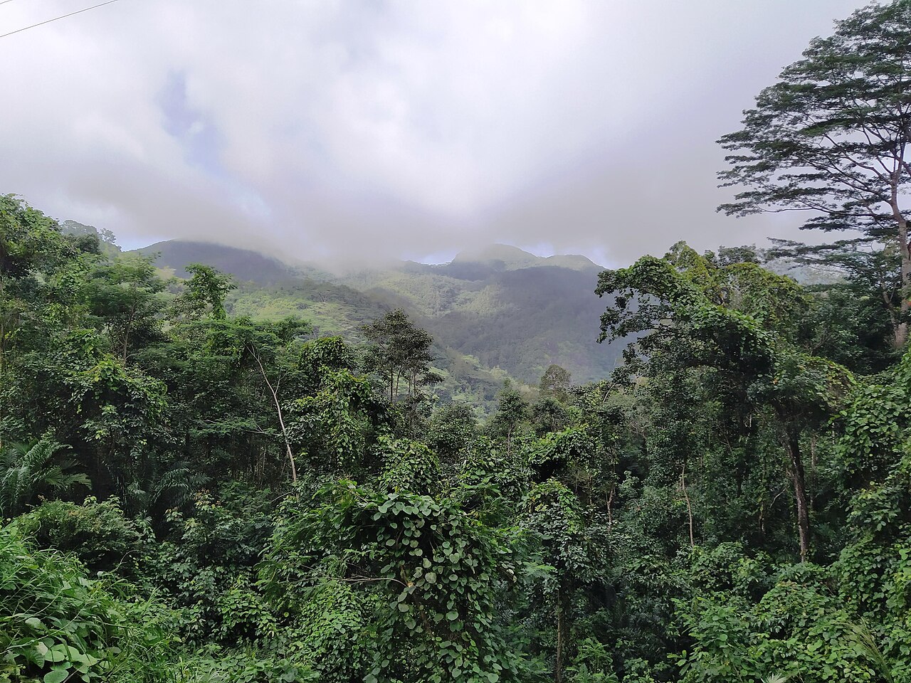 Morne Seychellois National Park
