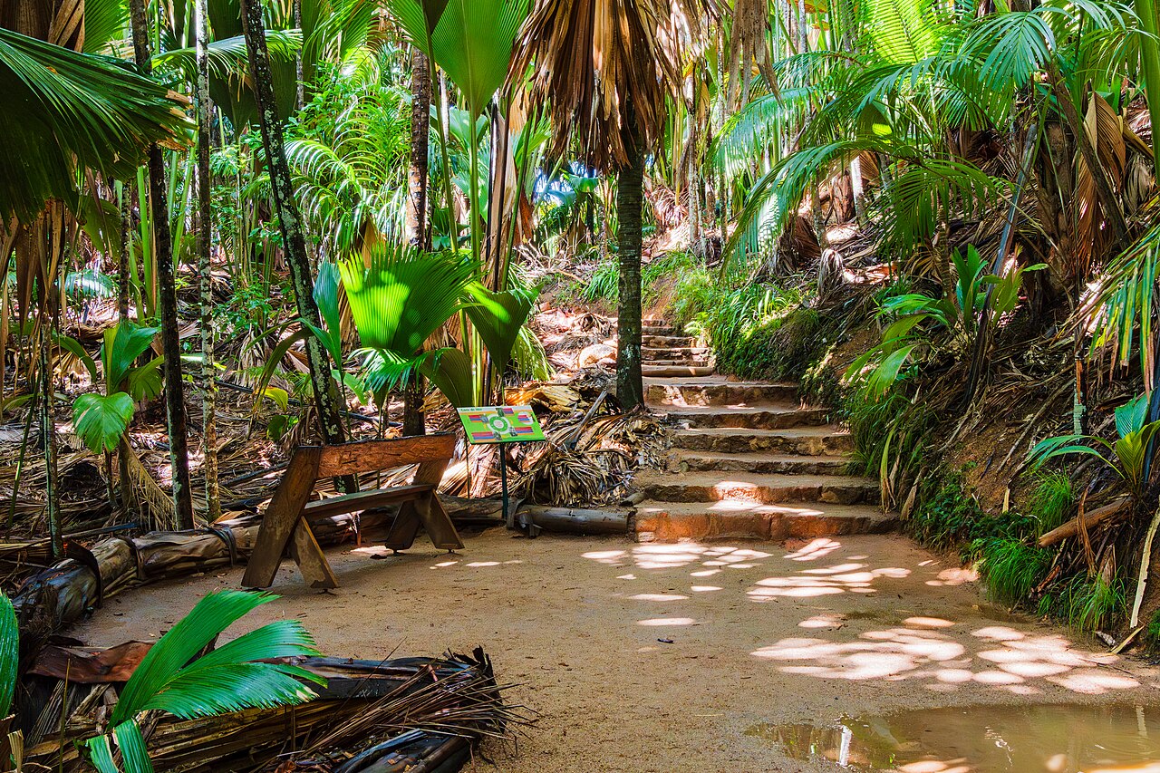 Vallée de Mai