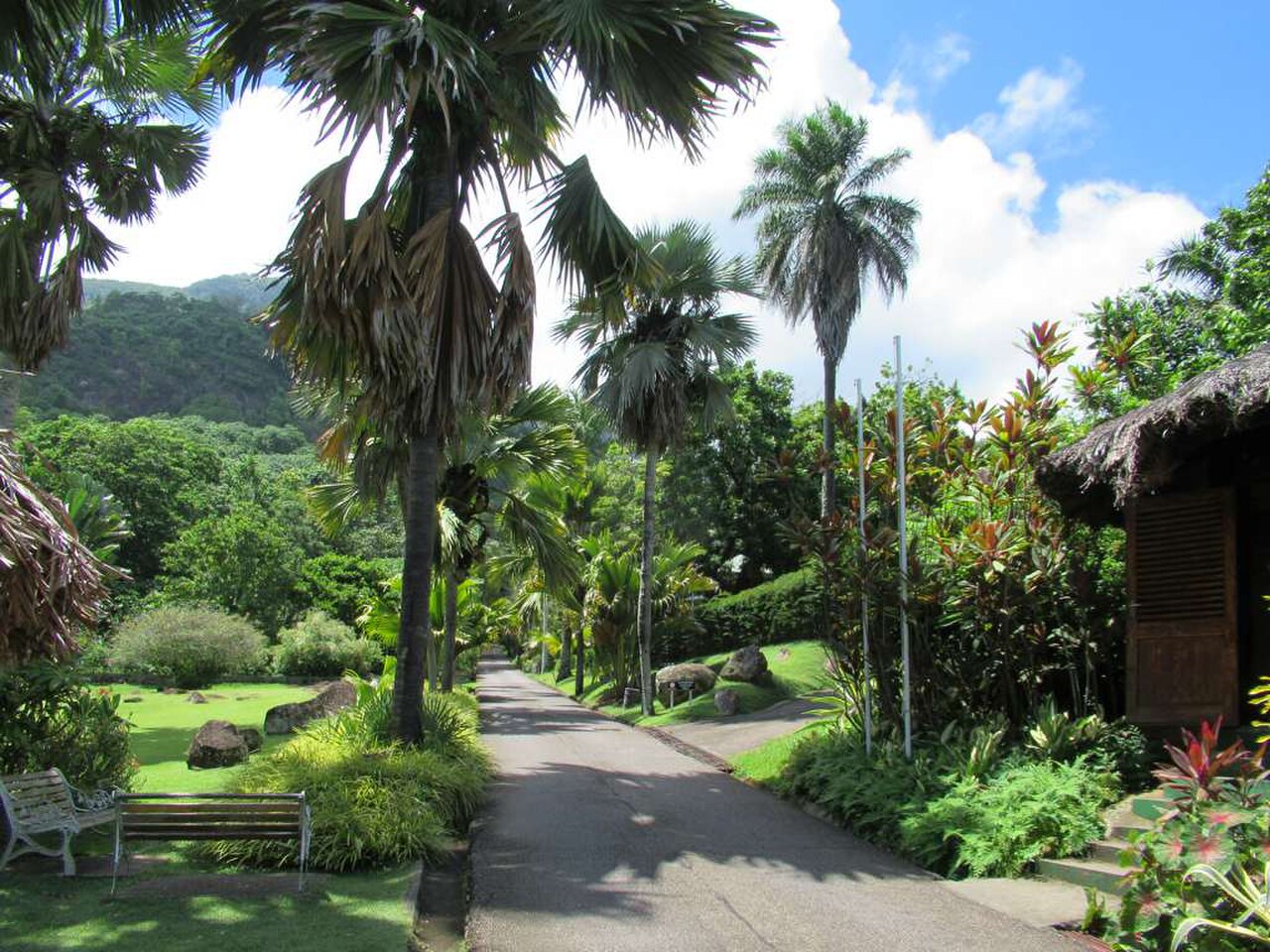 Botanic Gardens Victoria
