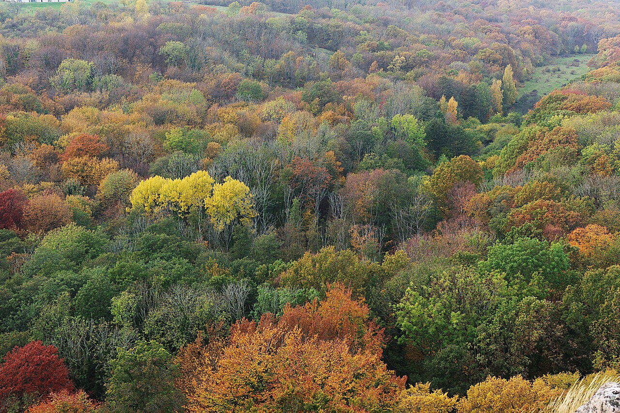 Park Narodowy Stenshuvud