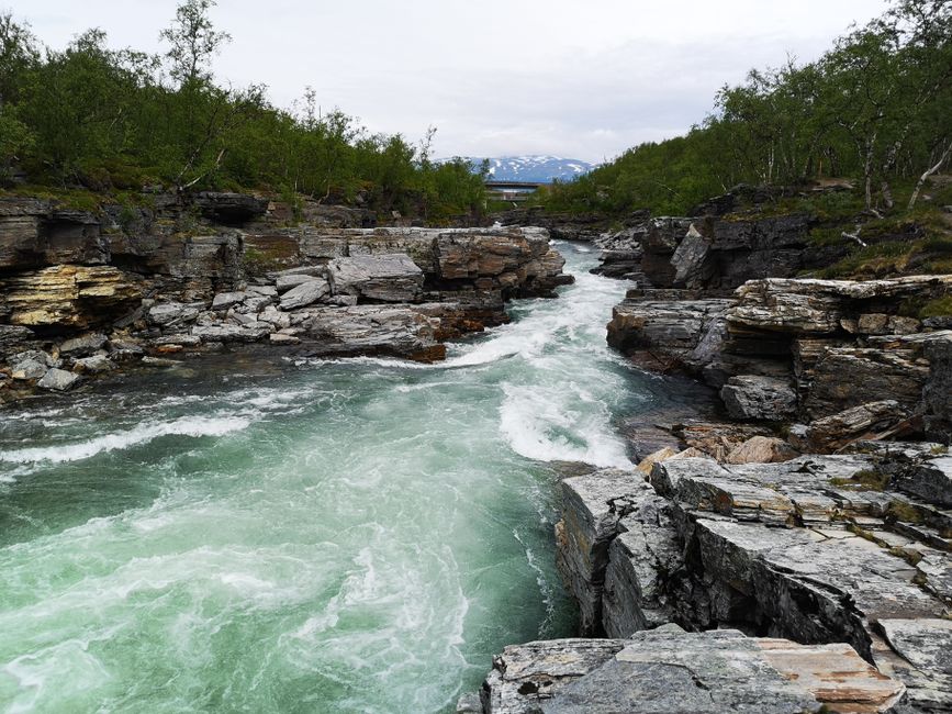Park Narodowy Abisko