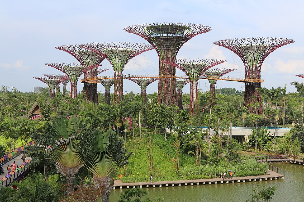 Supertree Grove