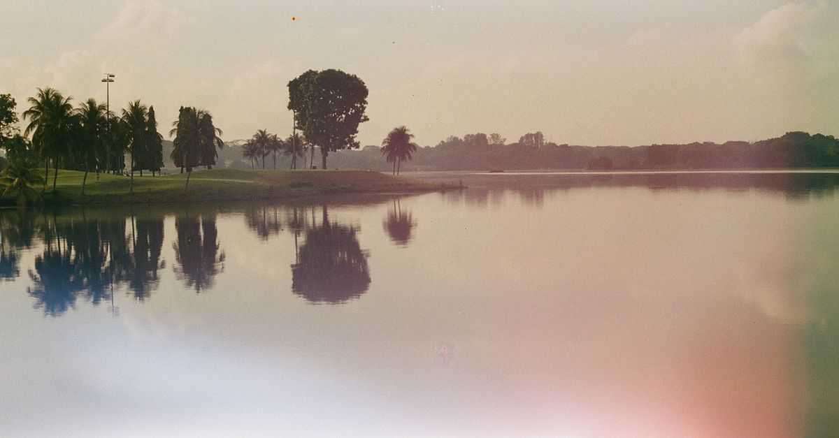 Jurong Lake Gardens