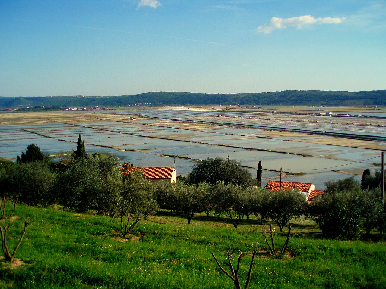 Soliny Sečovlje