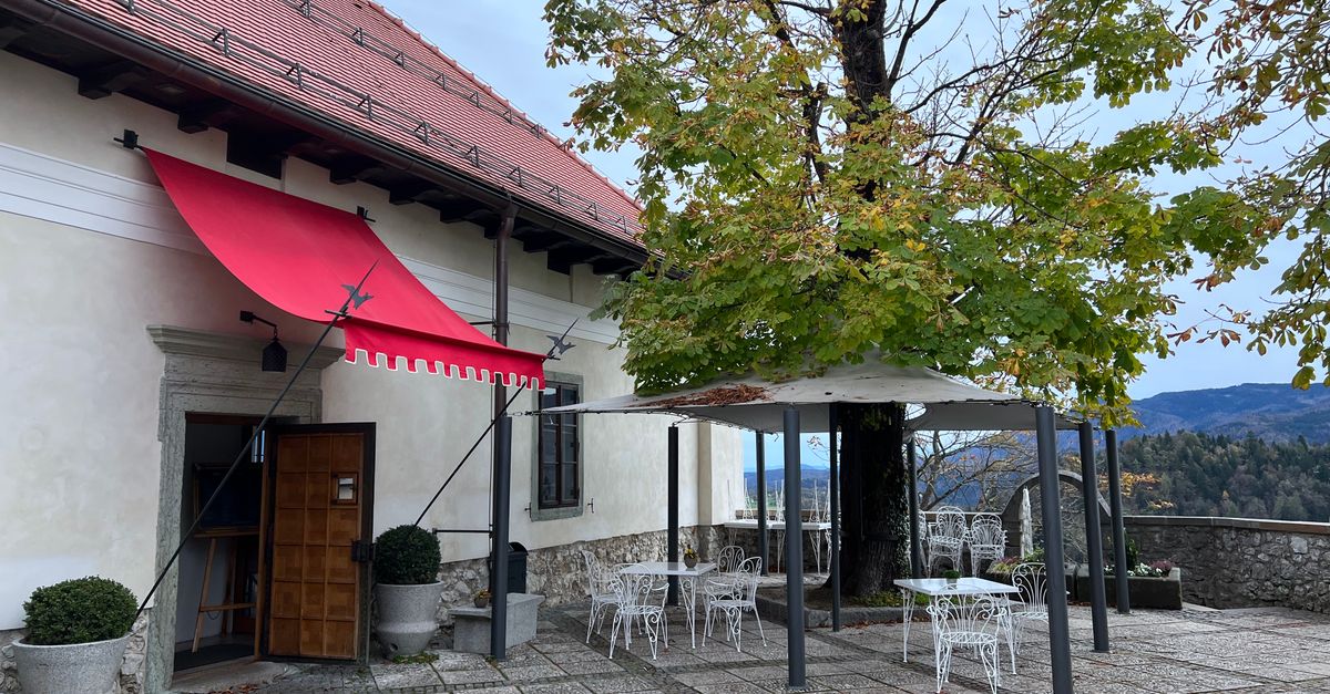 Kremówka w Café Park