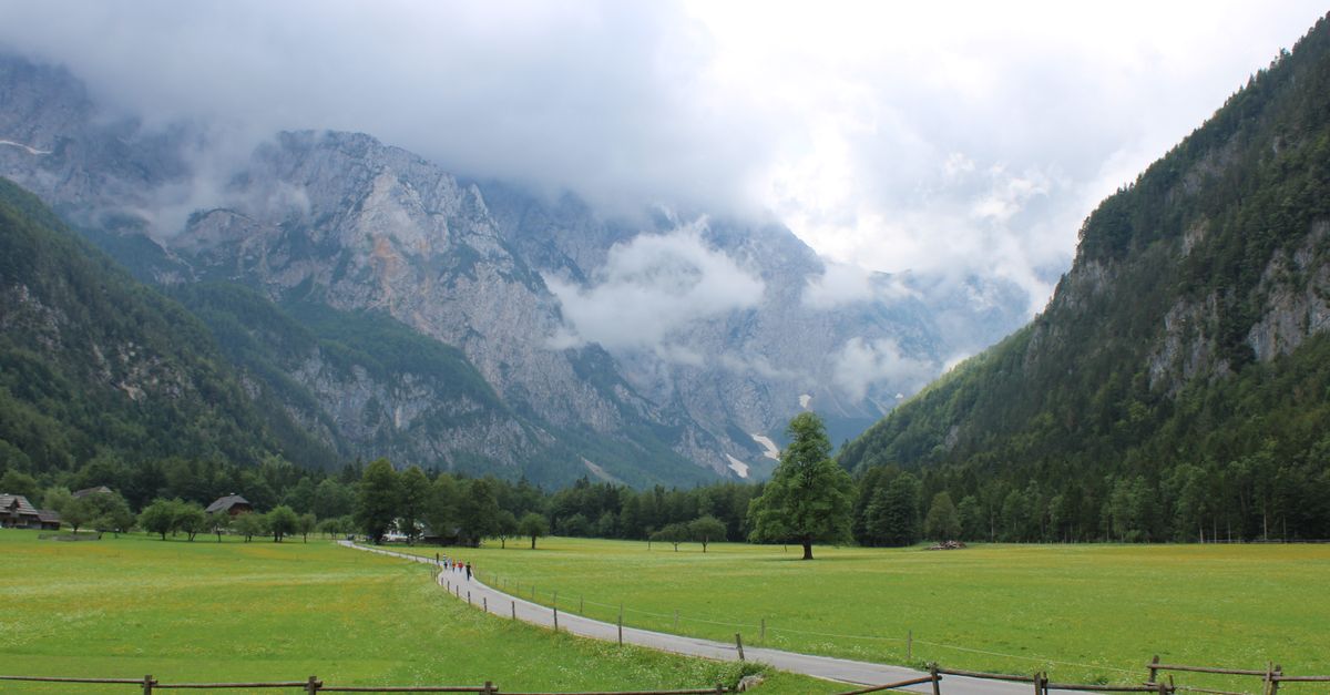 Spacer doliną Logarska