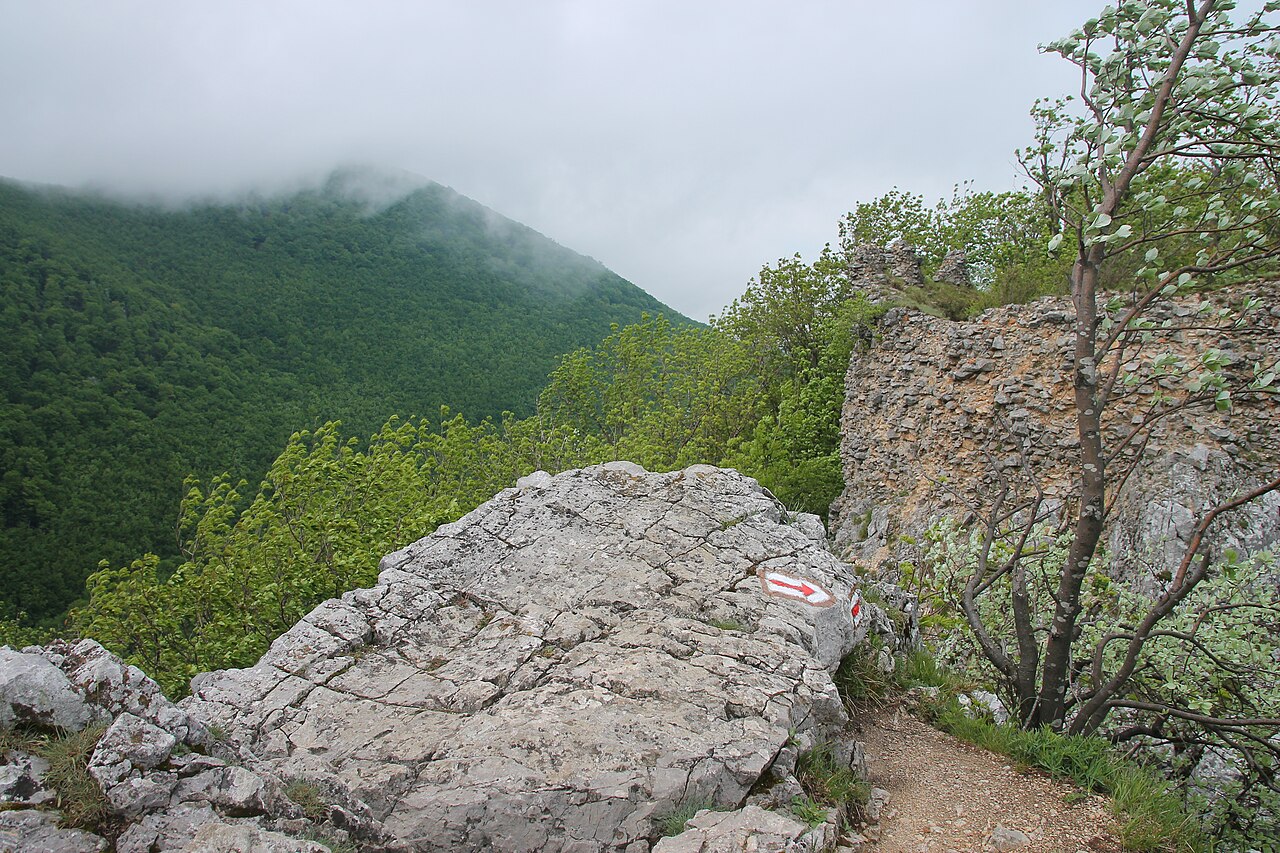 Szlaki Małych Karpat