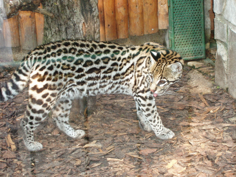 Zoo Bojnice