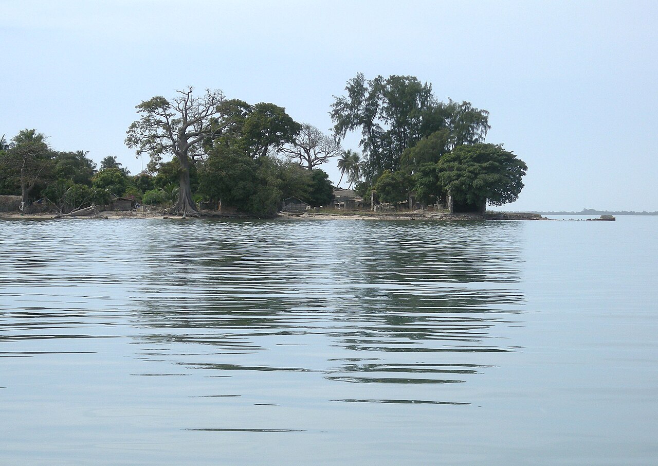 Rejs pirogą po lagunach Casamance