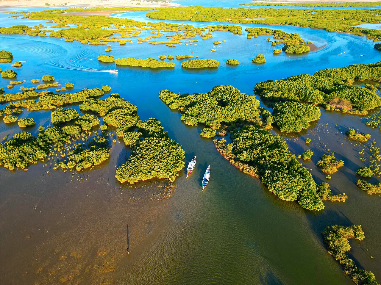 Obserwacja ptaków w rezerwacie Sine-Saloum