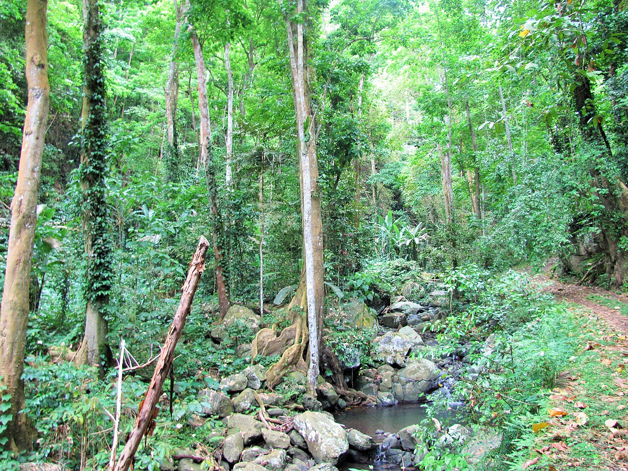 Wejście na Pico de São Tomé