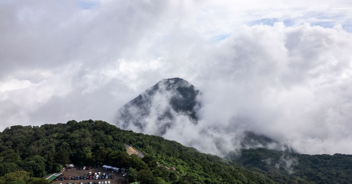 Las mgławy na zboczu Cerro Verde
