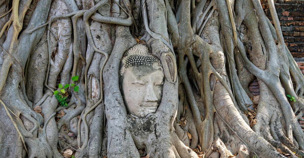 Ayutthaya
