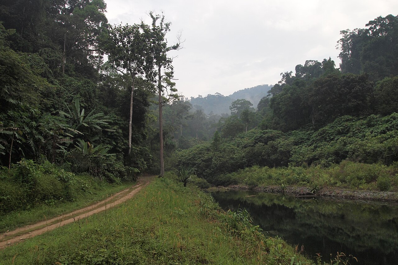 Park Narodowy Khao Lak-Lam Ru