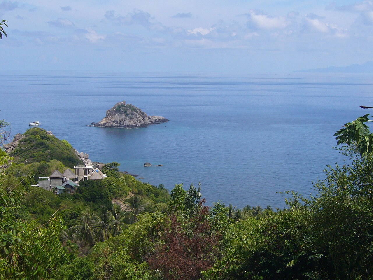 Nurkowanie przy Shark Island