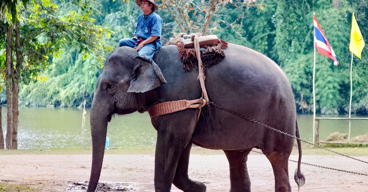 Elephant Conservation Center