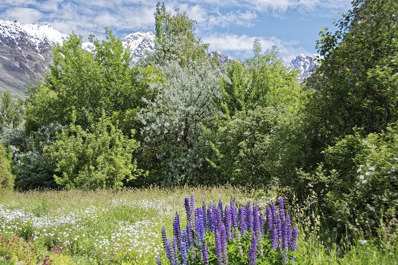 Pamirski Ogród Botaniczny