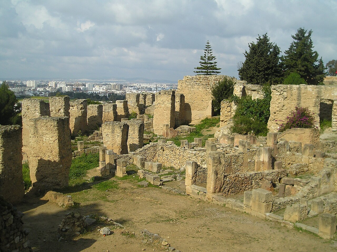 Wzgórze Byrsa
