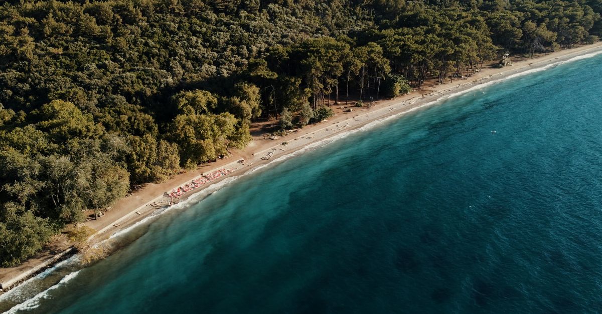 Plaża Ladies Beach