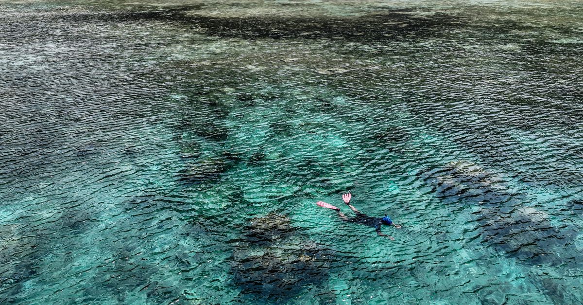 Snorkeling na rafie