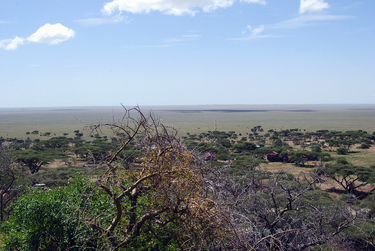 Balon nad Serengeti