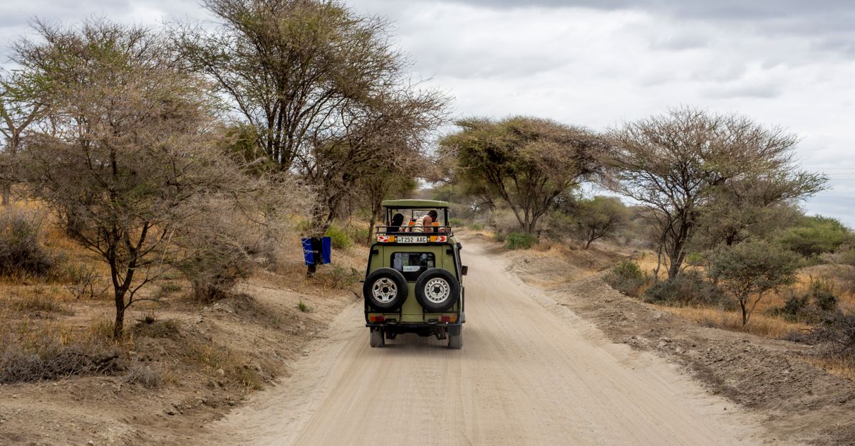 Safari Ruaha